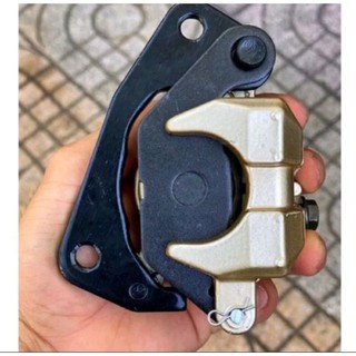 Heo dầu Sirius - Củ dầu dưới sirius