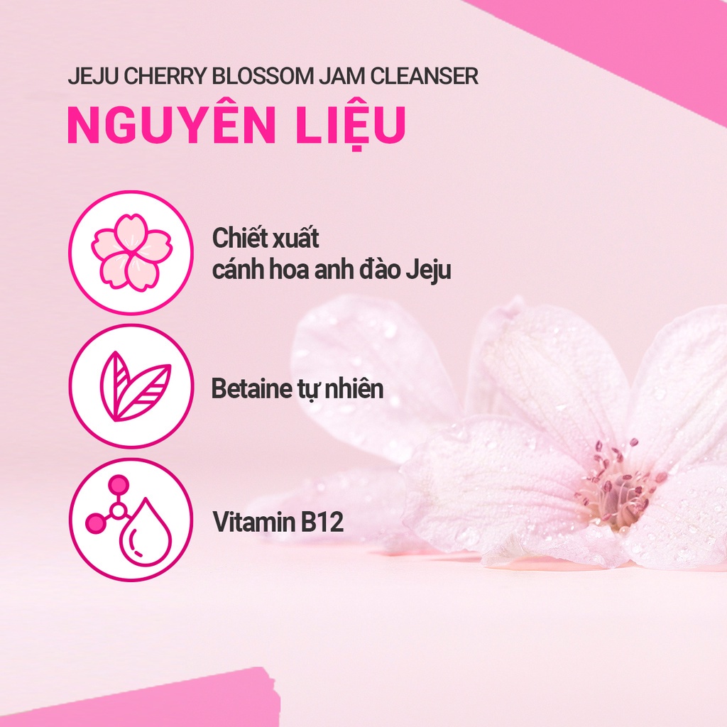 (Quà tặng không bán) Bộ kit dưỡng ẩm và sáng da hoa anh đào innisfree Jeju Cherry Blossom Trio Kit