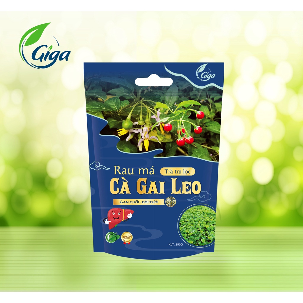 Trà Rau Má Cà Gai Leo, Trà Tía Tô Gold