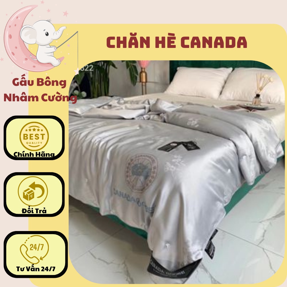 Chăn Hè - Chăn Lụa Canada Tơ Tằm Xịn Sò Tem Mác Đầy Đủ (Tặng Kèm Túi Xách)