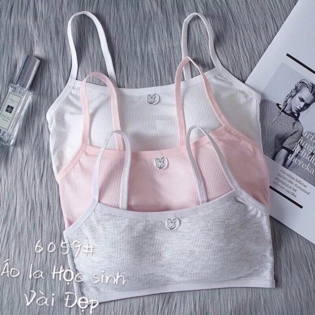 Áo Bra Thỏ Học Sinh,Bé Gái Có Đệm Ngực Hot