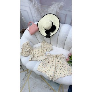 Sét Quần Đùi Big Size (55kg đến 100kg) MS09