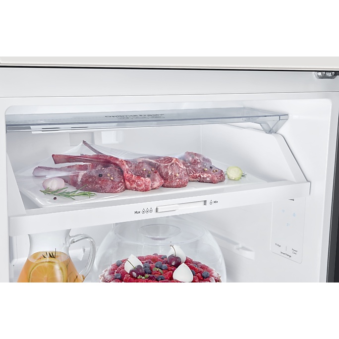 Tủ Lạnh Samsung Bespoke Ngăn Đông Trên với Đông Mềm Linh Hoạt 4 Chế Độ Optimal Fresh+ Xanh/305L RT31CB56248ASV