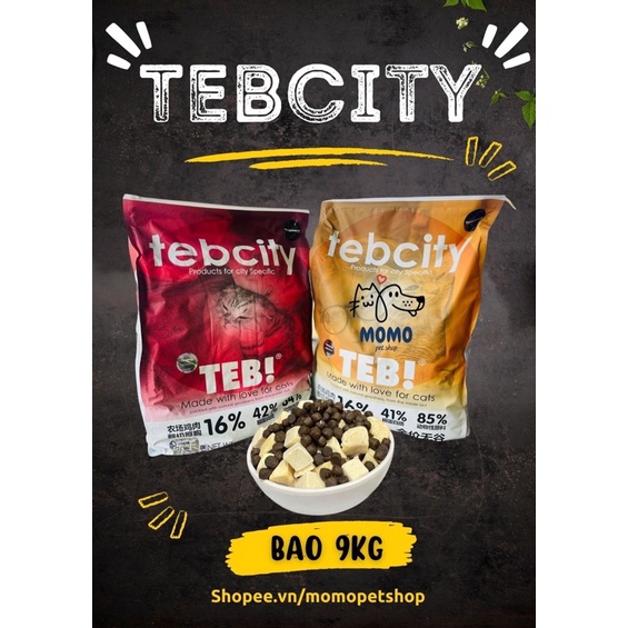 Hạt TEB CITY bao 9kg - Thức ăn cho mèo