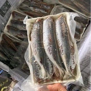 Khay 500gr Cá Nục 1 Nắng size 14-16con/kg
