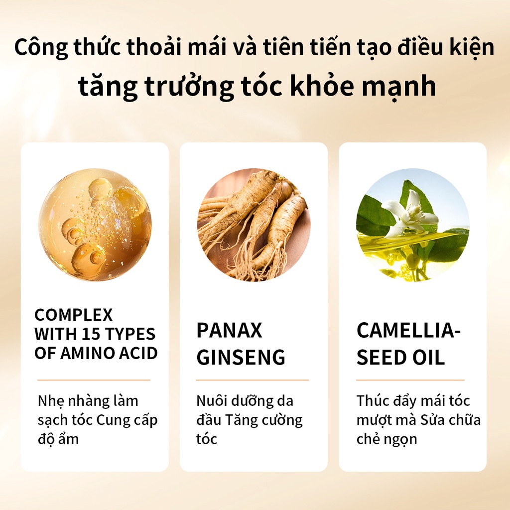 Dầu gội nhân sâm AISASEA sạch gàu giảm rụng kích thích mọc tóc 300ml