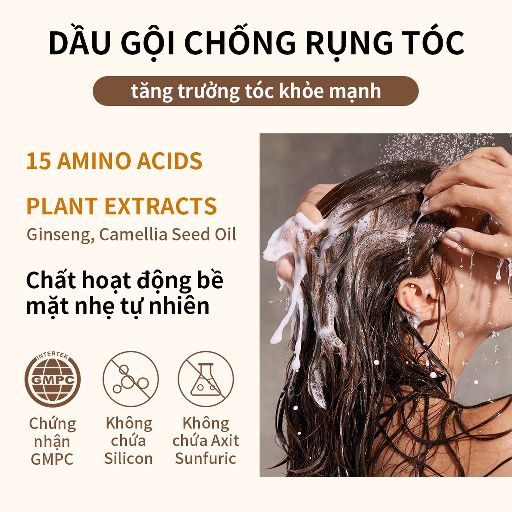 Dầu gội nhân sâm AISASEA sạch gàu giảm rụng kích thích mọc tóc 300ml