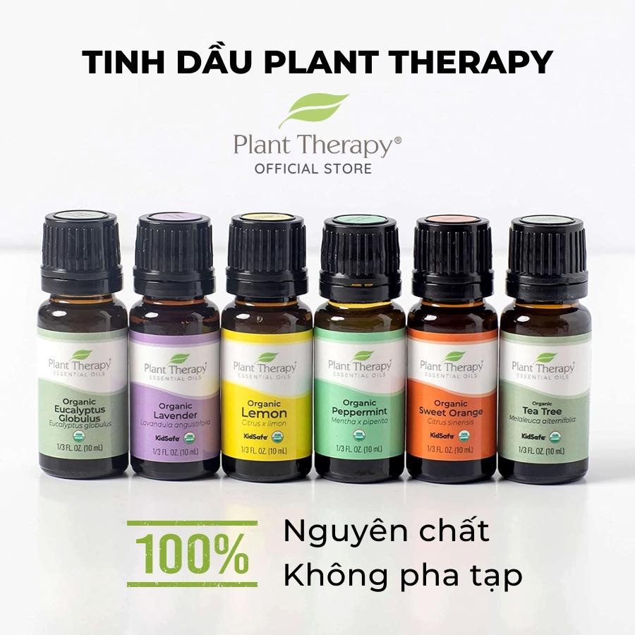 Tinh dầu hữu cơ Vỏ Quế (Cinnamon Cassia) Plant Therapy - Organic essential oil