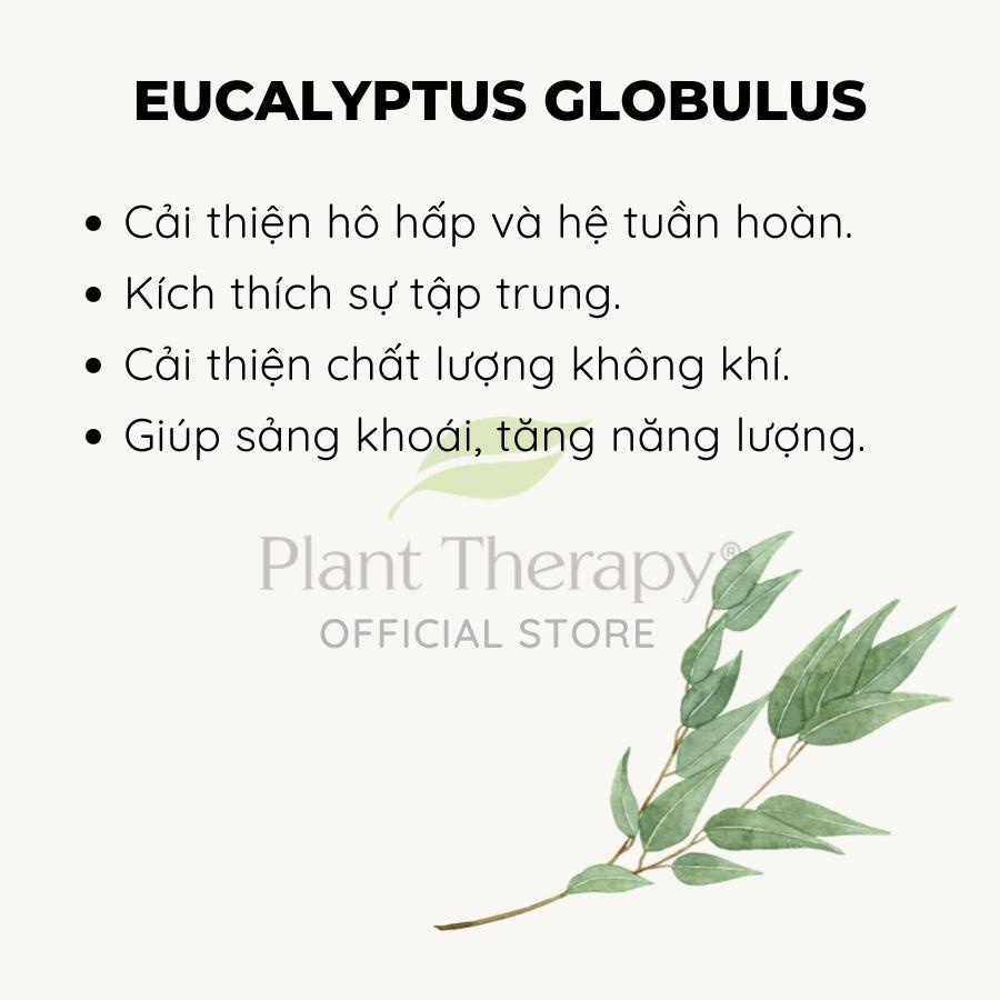Tinh dầu hữu cơ Khuynh Diệp (Eucalyptus Globulus) Plant Therapy - Organic essential oil (Bạch Đàn Xanh) 10mL 30mL 100mL