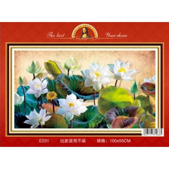 Tranh thêu chữ thập hoa sen , đầm hoa sen e231 /edb231 THÊU KÍN