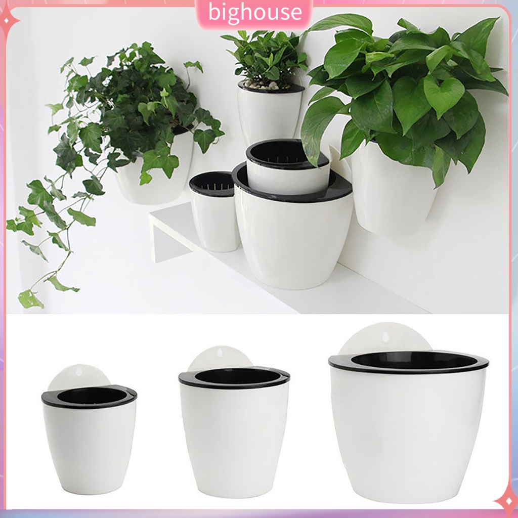 (BH) Chậu hoa hút nước treo tường sáng tạo