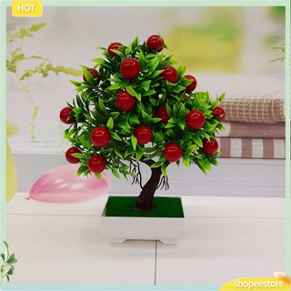 (shopeestore) Chậu cây bonsai giả trang trí xinh đẹp