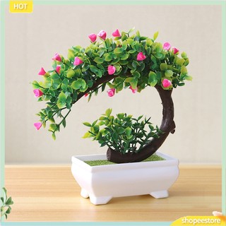 (shopeestore) Chậu cây bonsai nhân tạo trang trí nhà cửa