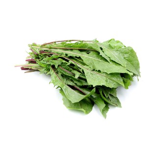 Hạt Giống Bồ Công Anh Tím (50H) (357.F1)