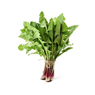 Hạt Giống Bồ Công Anh Tím (50H) (357.F1)