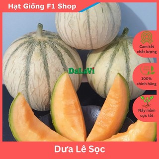 Hạt giống dưa lê sọc ấn độ ngon ngọt