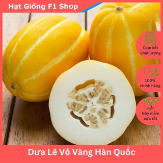 Hạt Giống Dưa Lê Hàn Quốc Vỏ Vàng Lai Ngon Ngọt (240.F1)