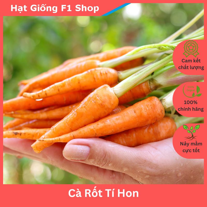 Hạt Giống Cà Rốt Tí Hon Ngon Ngọt (242.F1)
