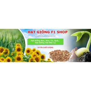 Hạt Giống Cây Mã Đề (1G) (105.F1)