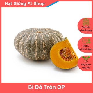 Hạt giống bí đỏ tròn op xuất xứ ấn độ