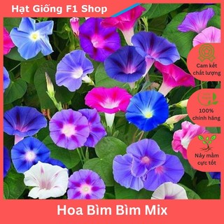 Hạt Giống Hoa Dây Leo Bìm Bìm Nhiều Màu Mix (50 hạt) (083.F1)