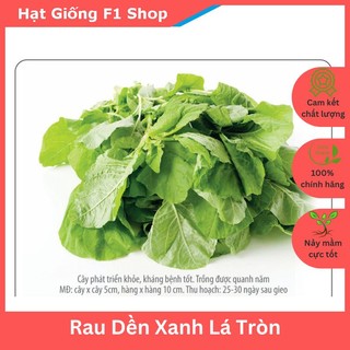 Hạt giống rau dền xanh lá tròn ngon mềm