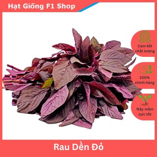 Hạt Giống Rau Dền Đỏ Ngon Mềm (20 Gam)