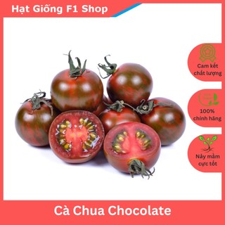 Hạt Giống Cà Chua Chocolate - 5H (128.F1)