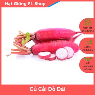 Hạt Giống Củ Cải Đỏ Dài Chắc Thịt