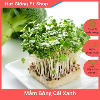 Hạt Giống Rau Mầm Bông Cải Xanh Giàu Dinh Dưỡng