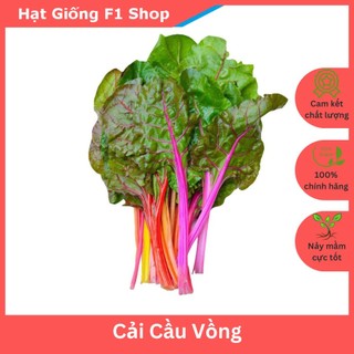 Hạt Giống Cải Cầu Vồng Chất Lượng 10 Gam