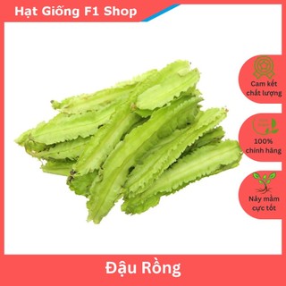 Hạt Giống Đậu Rồng Năng Suất Cao