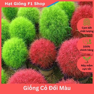 Hạt Giống Cỏ Đổi Màu Xuất Xứ Nhật Bản (100H) (076.F1)