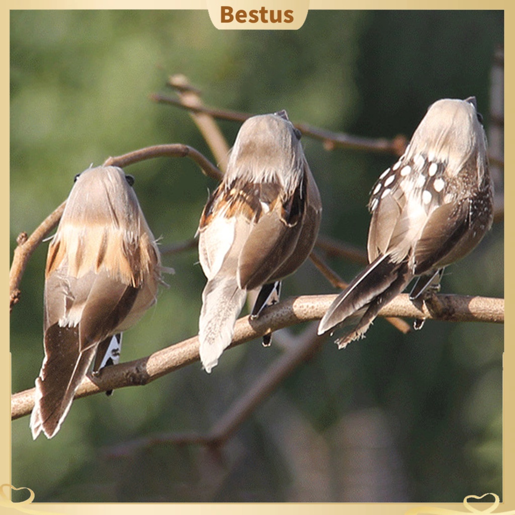 Chim Sẻ Giả Mini Trang Trí Nhà Cửa