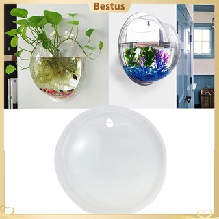 【Bestus】Chậu cây cảnh treo tường bằng acrylic sáng tạo