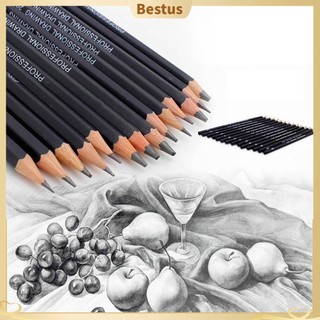 【Bestus】Bộ 14 bút chì chuốt nhiều độ cứng từ 6H-12B