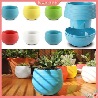 <lowerprice> Chậu trồng hoa mini để bàn dễ thương