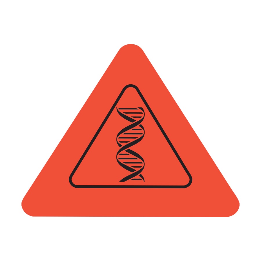Sách - Cẩm Nang Khám Phá Cơ Thể Người