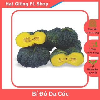 Hạt Giống Bí Đỏ Da Cóc Dẻo Ngon