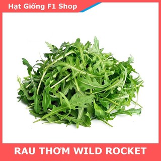 Hạt Giống Rau Wild Rocket Dễ Trồng (1 Gam)