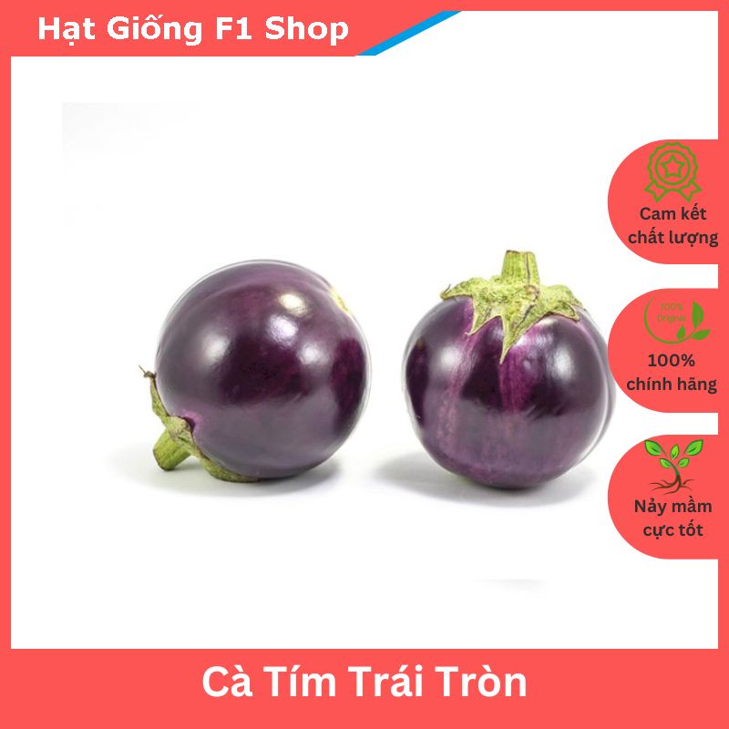 Hạt Giống Cà Tím Trái Tròn - Cà Bát Tím (415.F1)