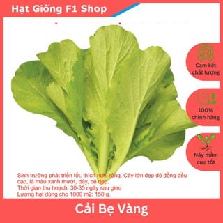 Hạt Giống Cải Bẹ Vàng Ít Cay Gói 20 Gam