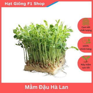 Hạt Giống Rau Mầm Đậu Hà Lan Nhiều Dinh Dưỡng (50 Gam)