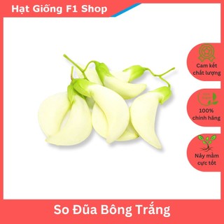Hạt Giống Cây So Đũa Bông Trắng 2 Gam