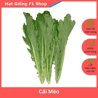 Hạt Giống Rau Cải Mèo Dễ Trồng (074.F1)