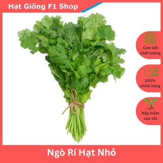 Hạt Giống Ngò Rí Hạt Nhỏ Dễ Trồng (20 Gam)