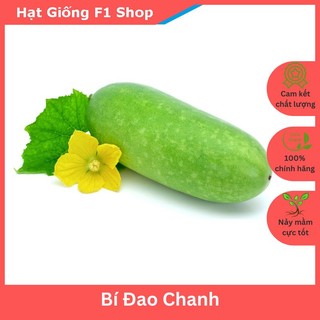 Hạt Giống Bí Đao Chanh Lai F1 Năng Suất Cao