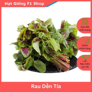 Hạt Giống Rau Dền Tía Độ Đồng Đều Cao (20 Gam)