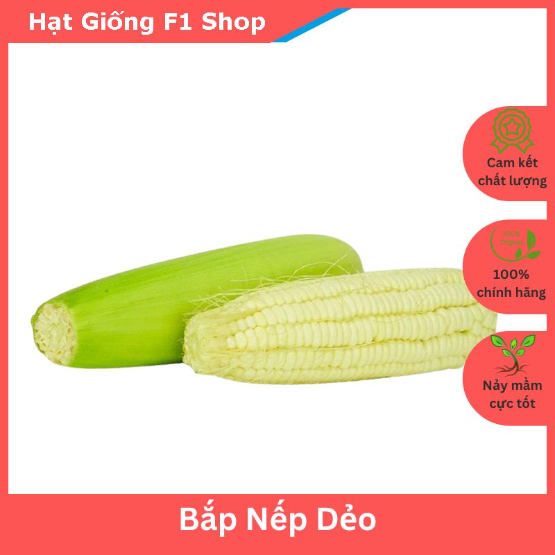 Hạt Giống Bắp Nếp Dẻo Ngon