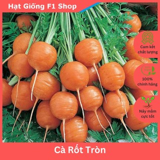 Hạt giống cà rốt tròn baby trồng chậu